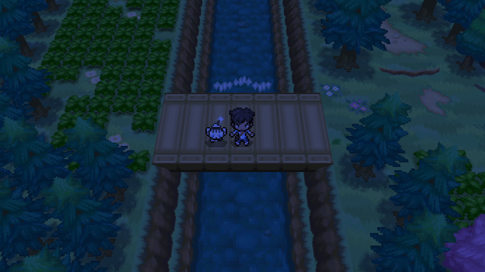 Essorian Shinx standing next to the trainer