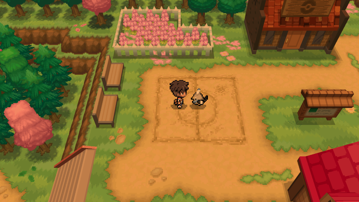 A trainer with his Pokémon